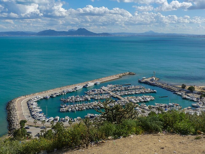 Point de vue sur le port