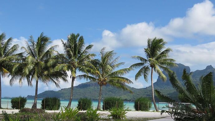 DE RETOUR D'UN MOIS EN POLYNESIE - tontonvin