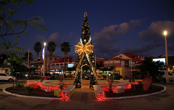 Marigot et son sapin de Noel