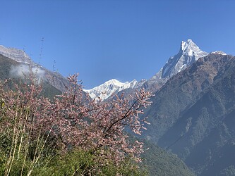IMG_8299