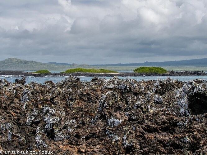 12 jours aux Îles Galápagos en autonomie, c'est vraiment merveilleux! - un-tuk-tuk-pour-deux