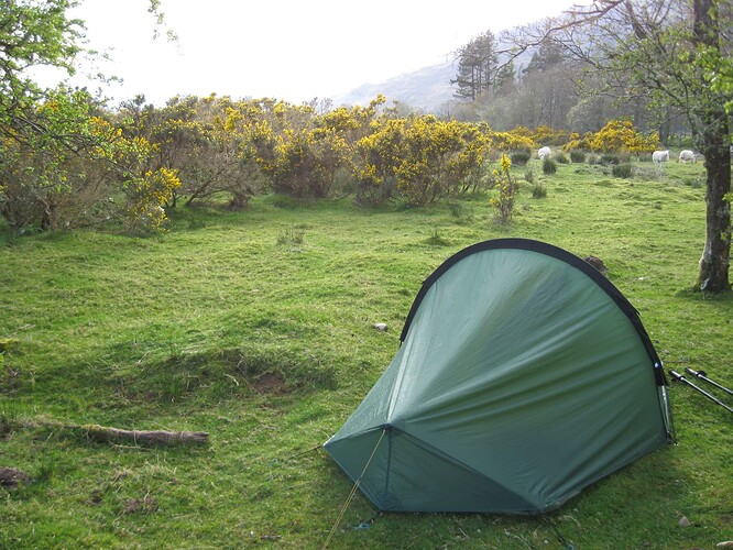 Ecosse (222)