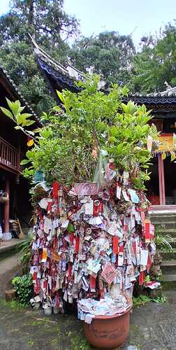 IMG-20251110-WA0020