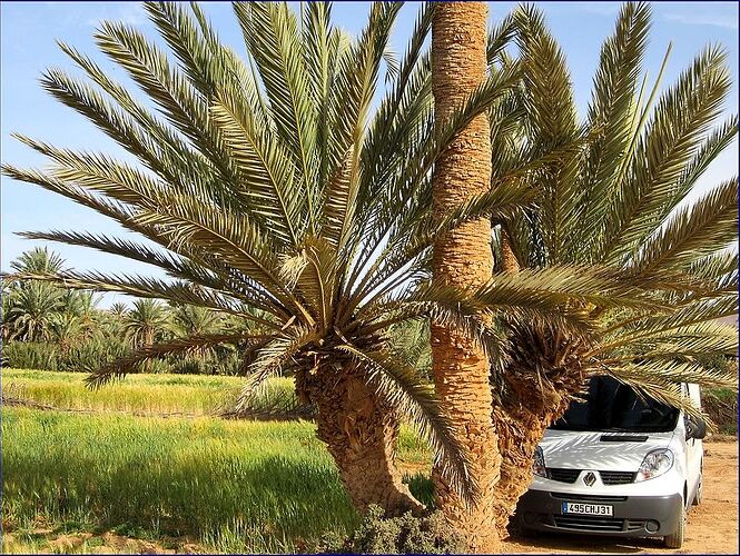 SAHARA OCCIDENTAL, road trip d' Agadir à la frontière de Mauritanie - triptrafic