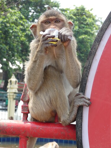 San Phra Kan