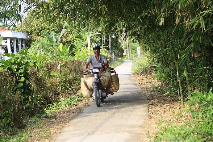 18 jours au Vietnam du Nord au sud, janvier 2018, jour 13 à 19 - lolotte34