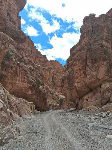 IMG-20250314-WA0006(1)