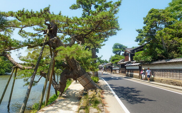 shiomi-nawate