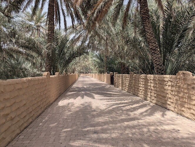 PXL_20250416_074031476_1