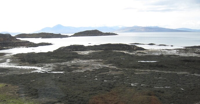 Ecosse (209)