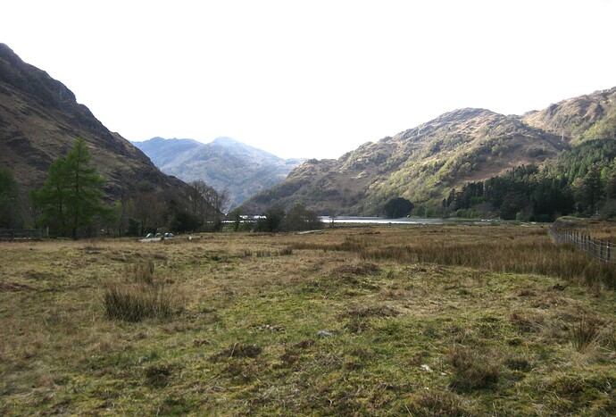 Ecosse (155)
