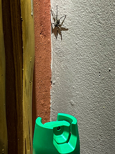 IMG_0508