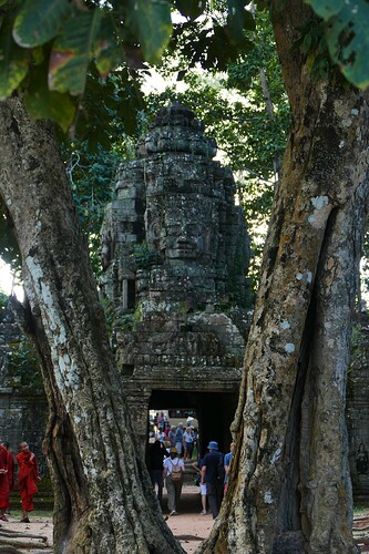 P1330072