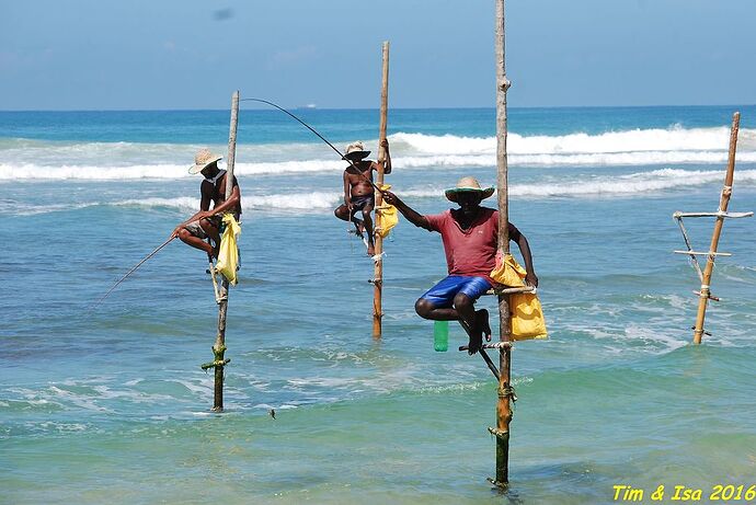 Road trip au Sri Lanka - timdef