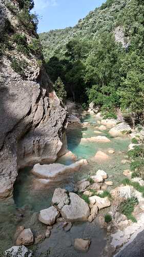 IMG-20250615-WA0022