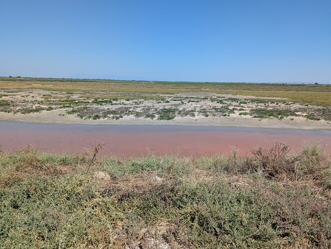 PXL_20250810_083543145_1
