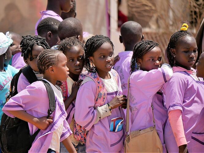 Visages et instantanés du Sénégal, Saint Louis et ses environs ... - fabienne65