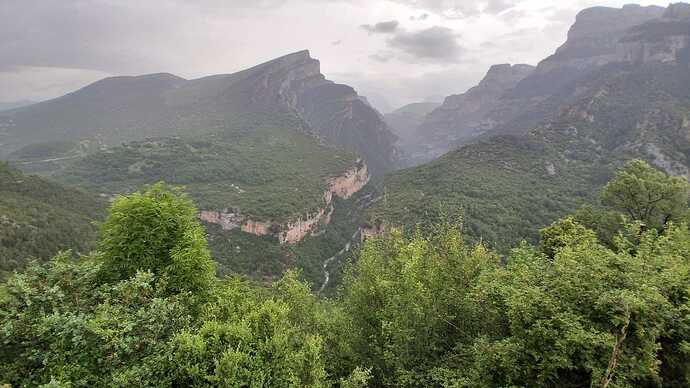 IMG-20250614-WA0010