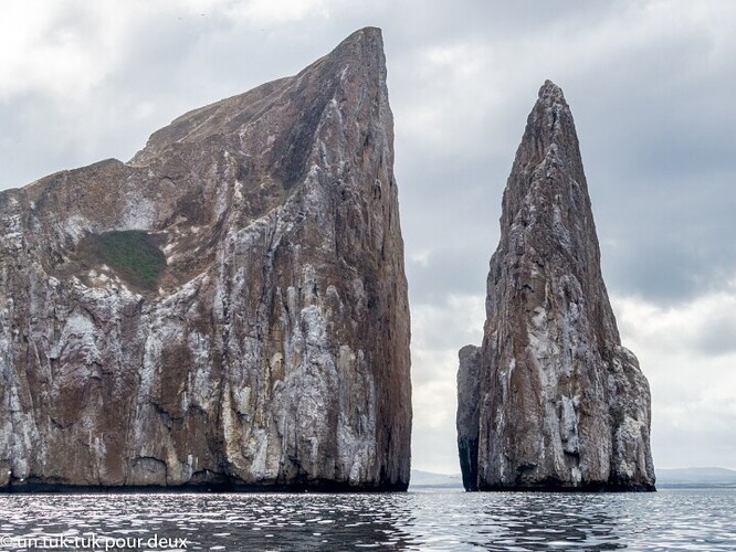 12 jours aux Îles Galápagos en autonomie, c'est vraiment merveilleux! - un-tuk-tuk-pour-deux