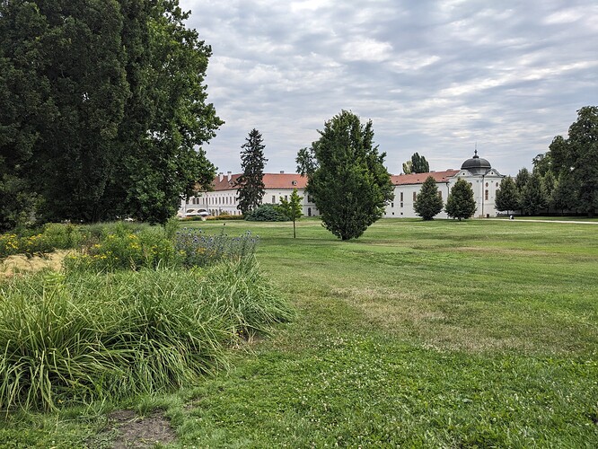 PXL_20230721_084653602_1
