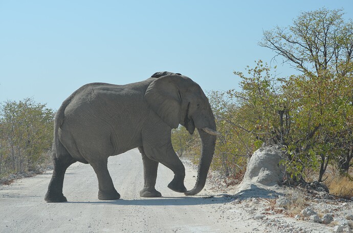 namibie (606)