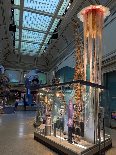 PXL_20250608_140401628