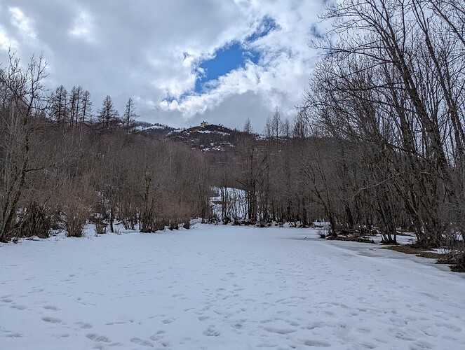PXL_20250212_130404540_1