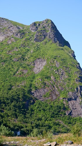 DSCF8667