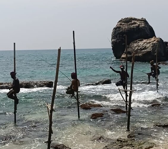 sri lanka voyage avec francophone shandeep