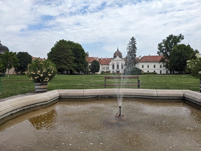 PXL_20230721_091211713_1