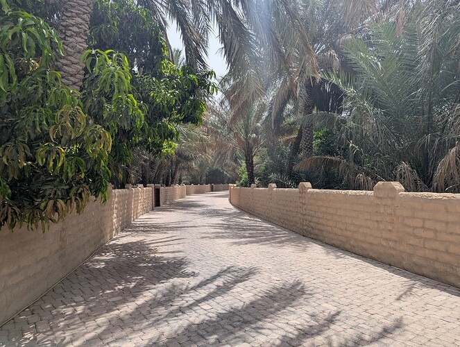 PXL_20250416_064614679_1