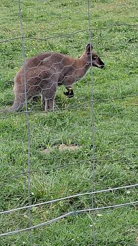 IMG-20250623-WA0012