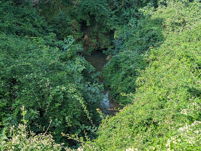 PXL_20250808_070301428_1