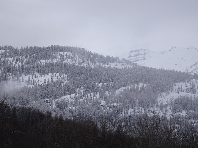 DSC02896_1