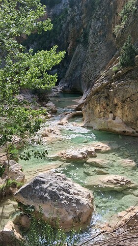 IMG-20250615-WA0042
