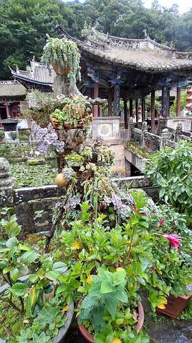 IMG-20251110-WA0023(1)