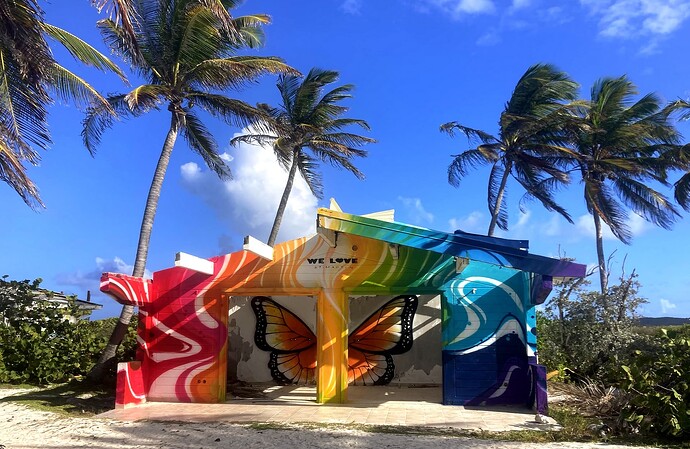 0 Sxm Bo fresque JS
