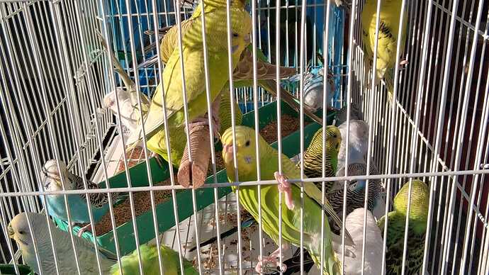 IMG-20251101-WA0014