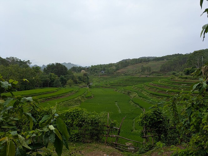 PXL_20250501_053928340