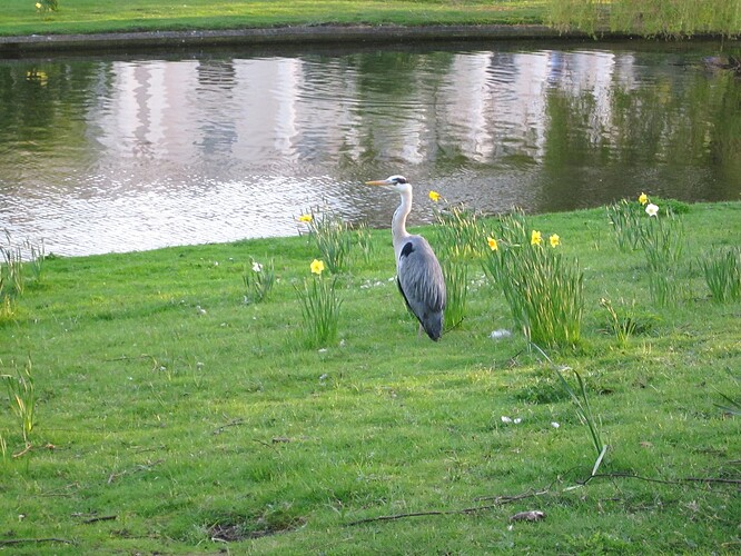 Ecosse 2013 075