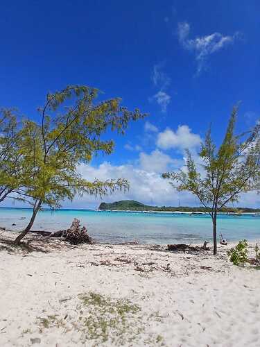 IMG-20250321-WA0012