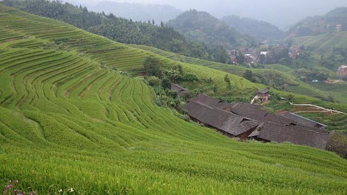 Voyage en Chine : Yangshuo – Dazhai – Fenghuang – Dehang – Zhangjiajie – Beijing – Huashan – Chengdu – Shunan zhuhai – Leshan – Emeishan (Première partie) - Meli Voyage en Chine : Yangshuo – Dazhai – Fenghuang – Dehang – Zhangjiajie – Beijing – Huashan – Chengdu – Shunan zhuhai – Leshan – Emeishan (Première partie) - Meli