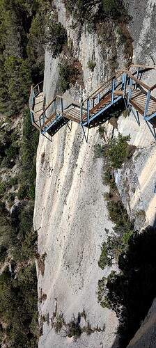 IMG_20240728_101716