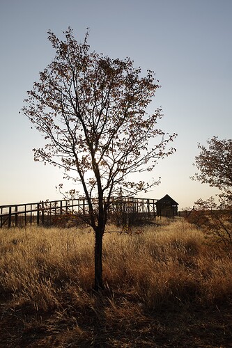PHOT7621
