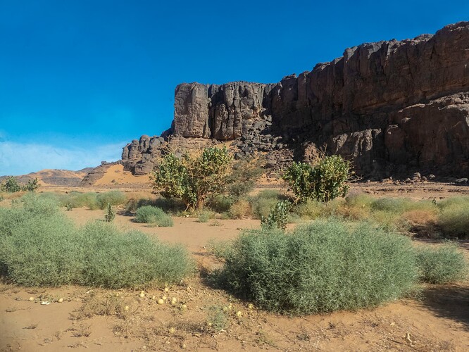 P1010440