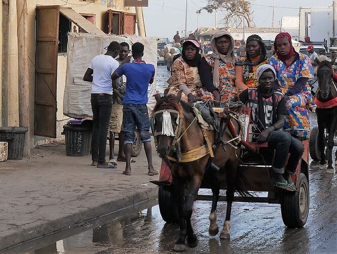 Visages et instantanés du Sénégal, Saint Louis et ses environs ... - fabienne65