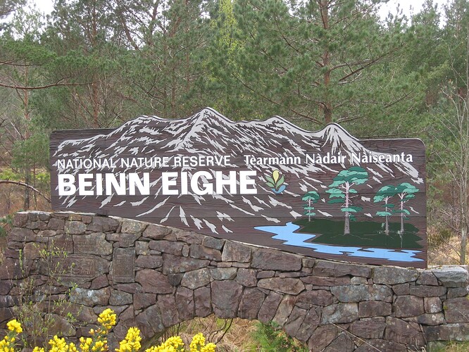 Ecosse (294)