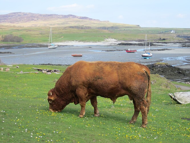 Ecosse 2013 392