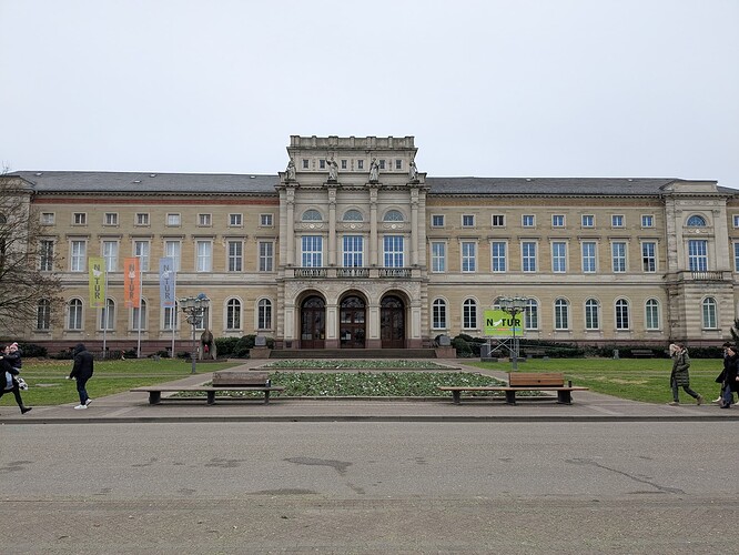 PXL_20241230_100720779_1