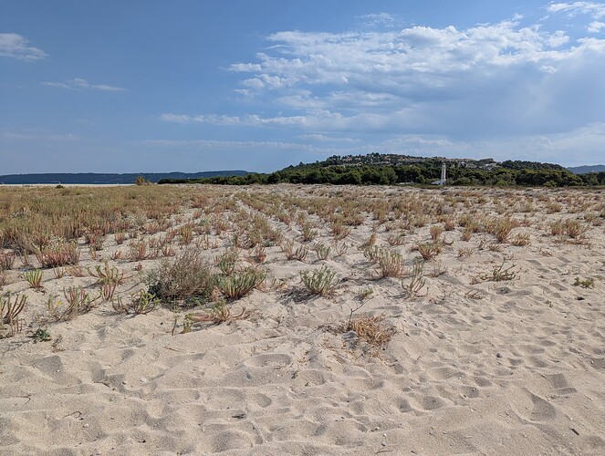 PXL_20250816_072430261_1